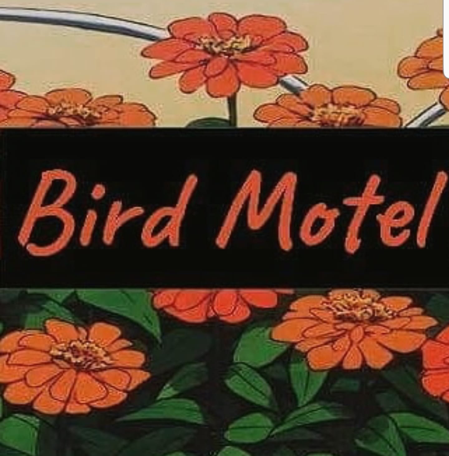 Bird Motel | Bottom Lounge